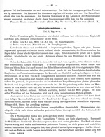 Original description p. 65 Spirostreptus assiniensis Attems, 1914