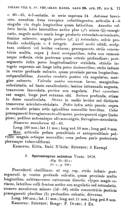 Original description p. 71 Spirostreptus canaliculatus Porat, 1894