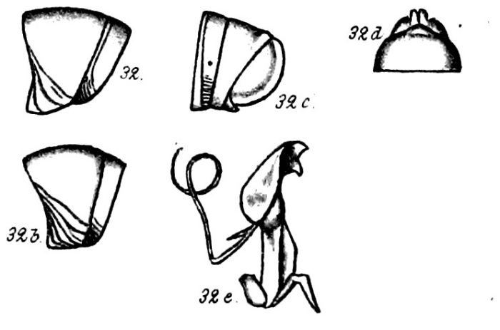Original description figs. 32-32e Spirostreptus canaliculatus Porat, 1894
