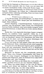 Original description p. 40 Telodeinopus eidmanni Verhoeff, 1941