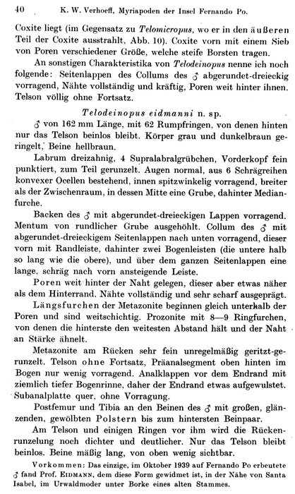 Original description p. 40 Telodeinopus eidmanni Verhoeff, 1941