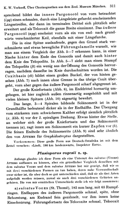 Original description p. 311 Plusioporus vogesii Verhoeff, 1938