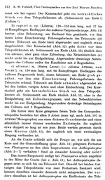 Original description p. 312 Plusioporus vogesii Verhoeff, 1938