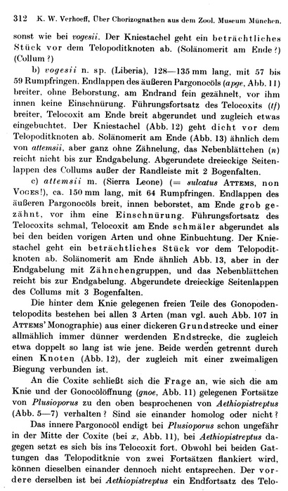 Original description p. 312 Plusioporus vogesii Verhoeff, 1938