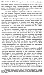 Original description p. 314 Plusioporus vogesii Verhoeff, 1938