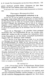 Original description p. 315 Plusioporus vogesii Verhoeff, 1938