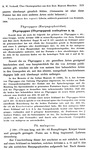 Original description p. 315 Plusioporus vogesii Verhoeff, 1938