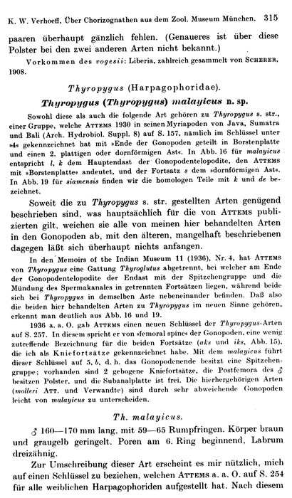 Original description p. 315 Plusioporus vogesii Verhoeff, 1938