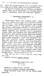 Original description p. 72 Spirostreptus sinuaticollis Porat, 1894