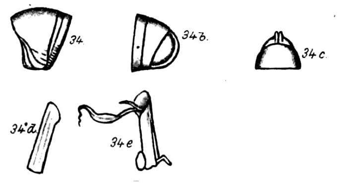 Original description figs. 34-34e Spirostreptus sinuaticollis Porat, 1894