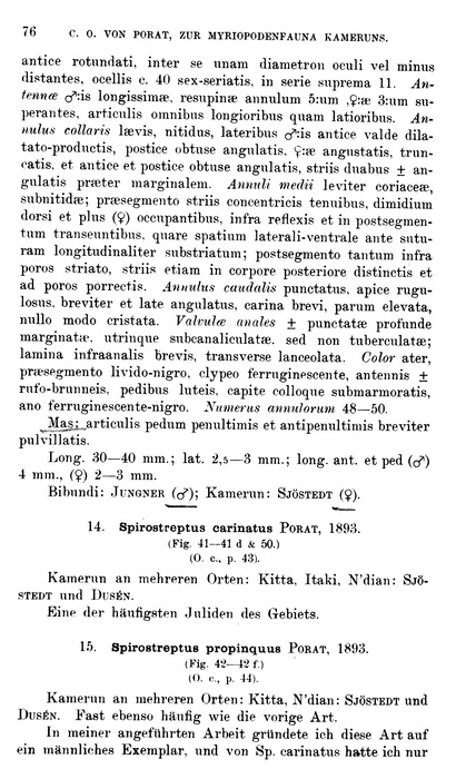 Original description p. 76 Spirostreptus atratus Porat, 1894