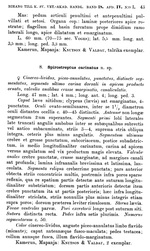 Original description p. 43 Spirostreptus carinatus Porat, 1893