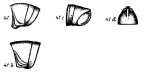 fig. 41-41d Spirostreptus carinatus Porat, 1893