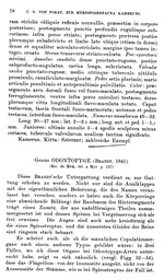 Original description p. 78 Spirostreptus trachyurus Porat, 1894