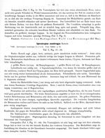 Original description p. 63 Spirostreptus amandus Attems, 1914