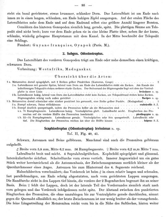 Original description p. 95 Scaphiostreptus levissimus Attems, 1914 Original description p. 95 Scaphiostreptus levissimus Attems, 1914