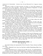 Original description p. 72 Spirostreptus servatius Attems, 1914