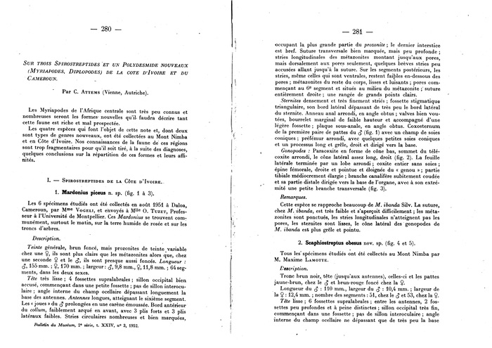 Original description p. 280-281 Mardonius piceus Attems, 1952 Original description p. 280-281 Mardonius piceus Attems, 1952