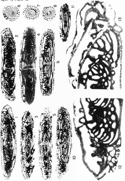 Alaskanella laudoni Skinner &amp; Wilde, 1966