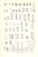 Tintinnopsis spp on page 22 in Kofoid & Campbell 1929