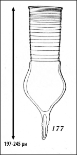 Illustration from Kofoid & Campbell 1929