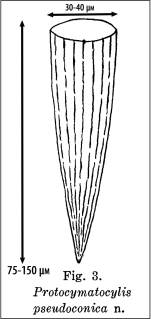 Illustration from Hada 1961