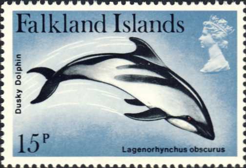 Lagenorhynchus obscurus Lagenorhynchus obscurus