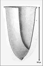 Illustration from Laackmann 1910
