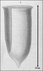 illustration from Laackmann 1910