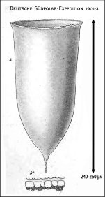Illustration from Laackmann 1910
