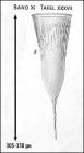 Illustration from Laackmann 1910
