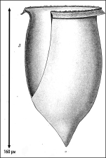Illustration from Laackmann 1910