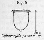 Illustration from Laackmann 1907