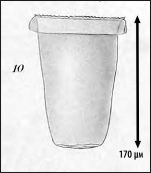 Illustration from Laackmann 1910