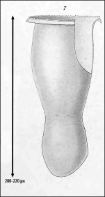 Illustration from Laackmann 1910