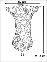 Illustration from Roxas 1941