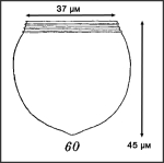 Iillustration from Roxas 1941