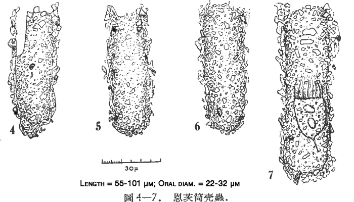 Illustration from Chiang 1956