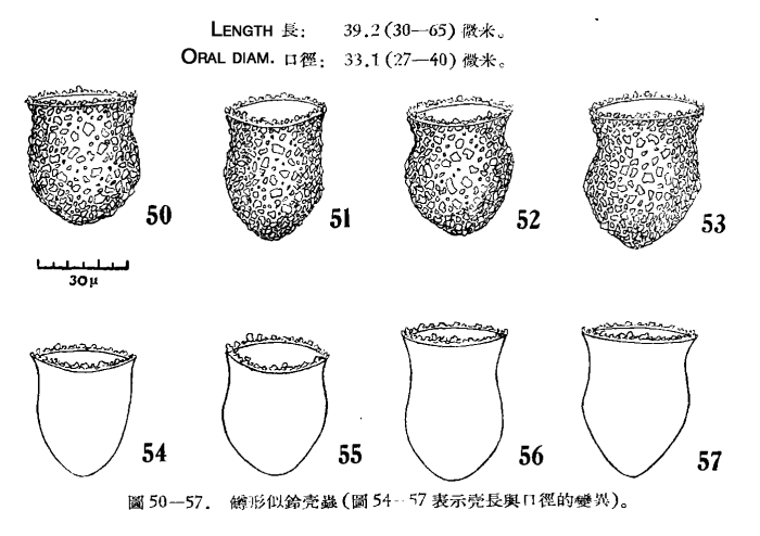 Illustration from Chiang 1956