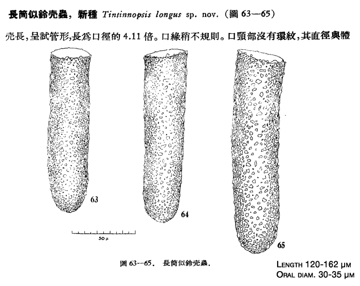 Illustration from Chiang 1956