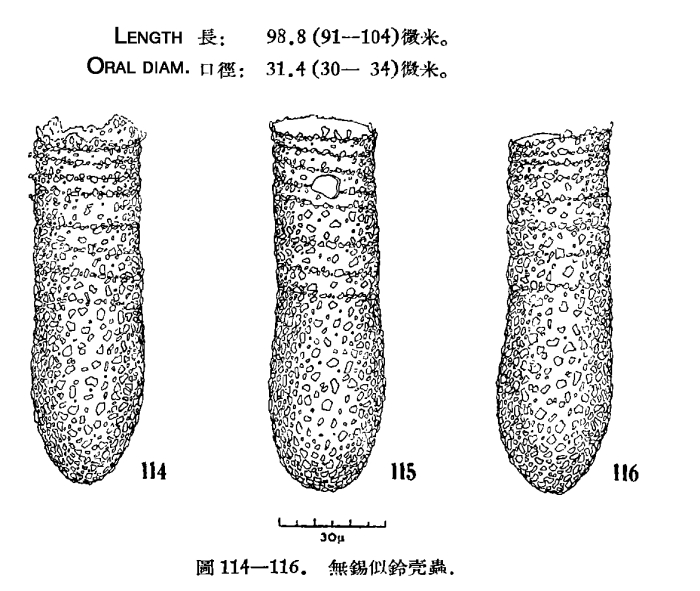 Illustration from Chiang 1956