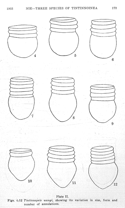 Illustrations from Nie 1933