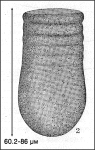 FRom Nie 1933