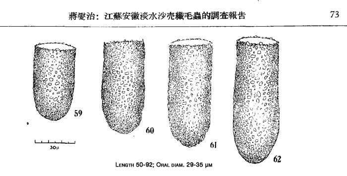 Illustrations from Chiang 1956