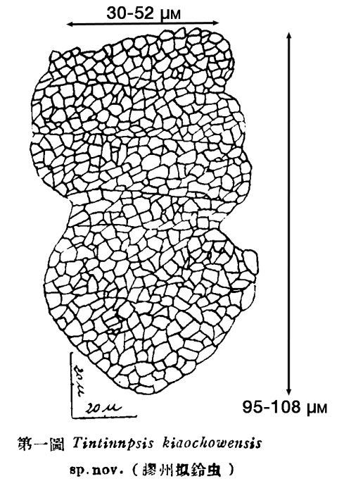 Illustration from Yin 1957