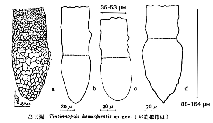 Illustration from Yin 1957