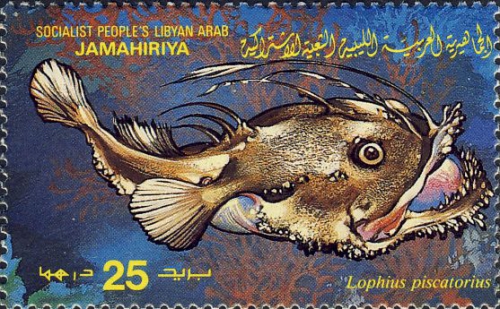 Lophius piscatorius