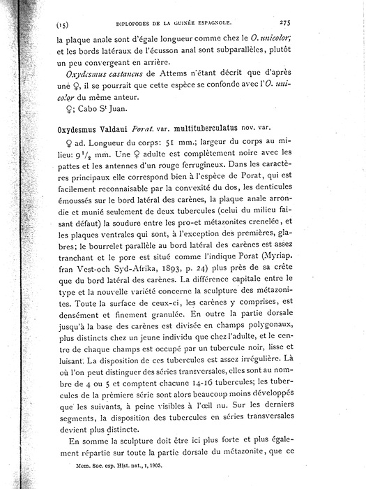 Original description Oxydesmus valdaui var. multituberculatus p. 275