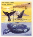 Mammalia (mammals)