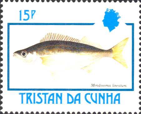 Mendosoma lineatum Mendosoma lineatum